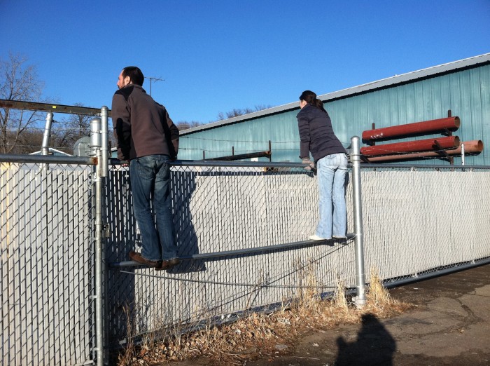 Peering over the Scenic Signs bone yard fence